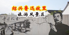 小穴日出水的视频中国绍兴-鲁迅故里旅游风景区